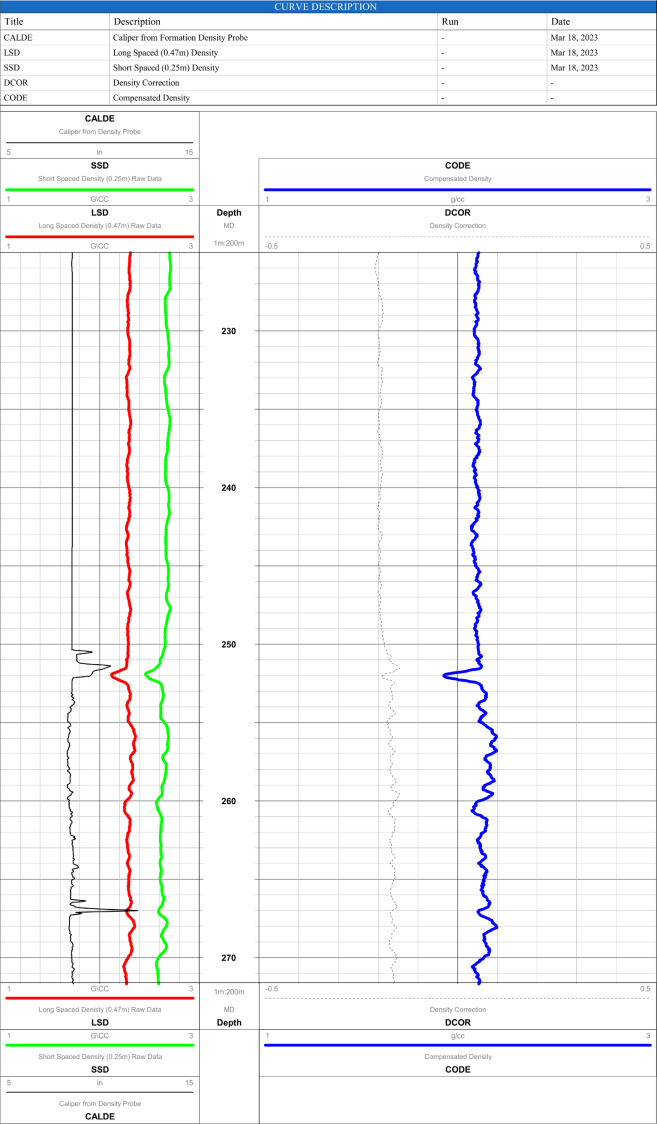 Neutron Log